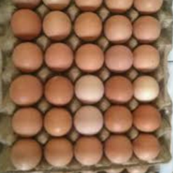 Telur Biasa Dan Telur Asin 2