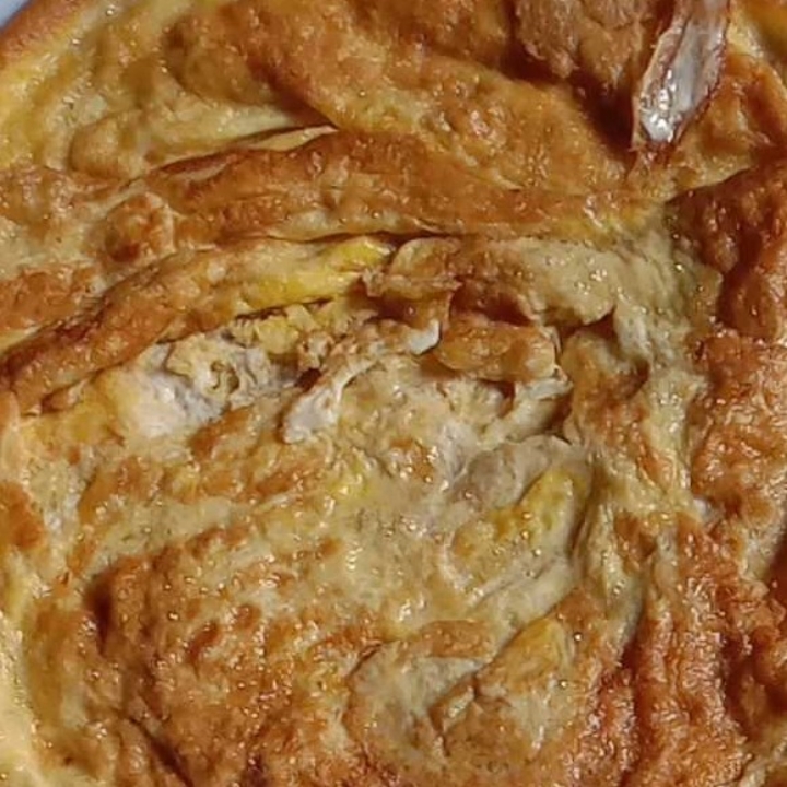 Telur Dadar