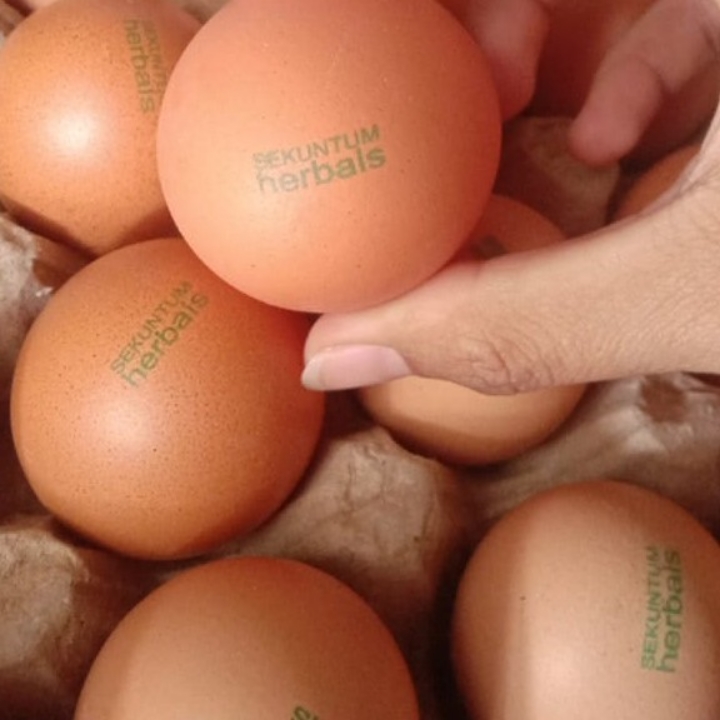 Telur Herbal