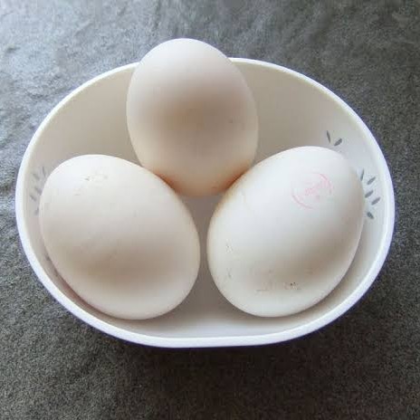 Telur Kampung