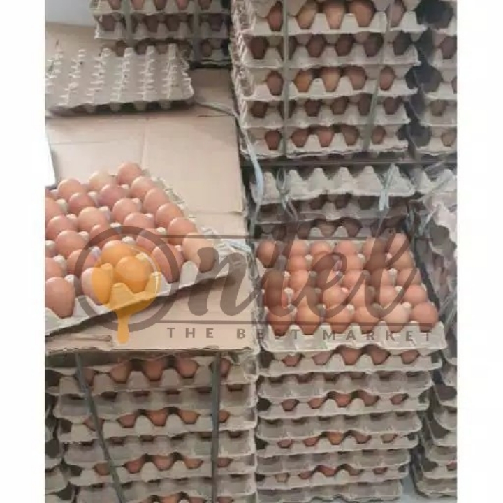 Telur Premium LCH 3