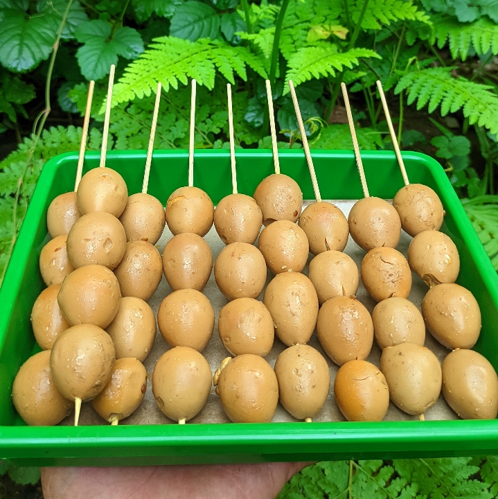 Telur Puyuh 