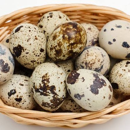 Telur Puyuh