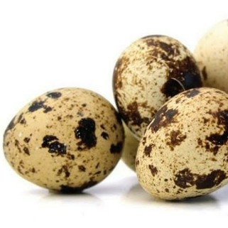 Telur Puyuh 15 Butir