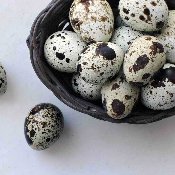 Telur Puyuh Per Tray