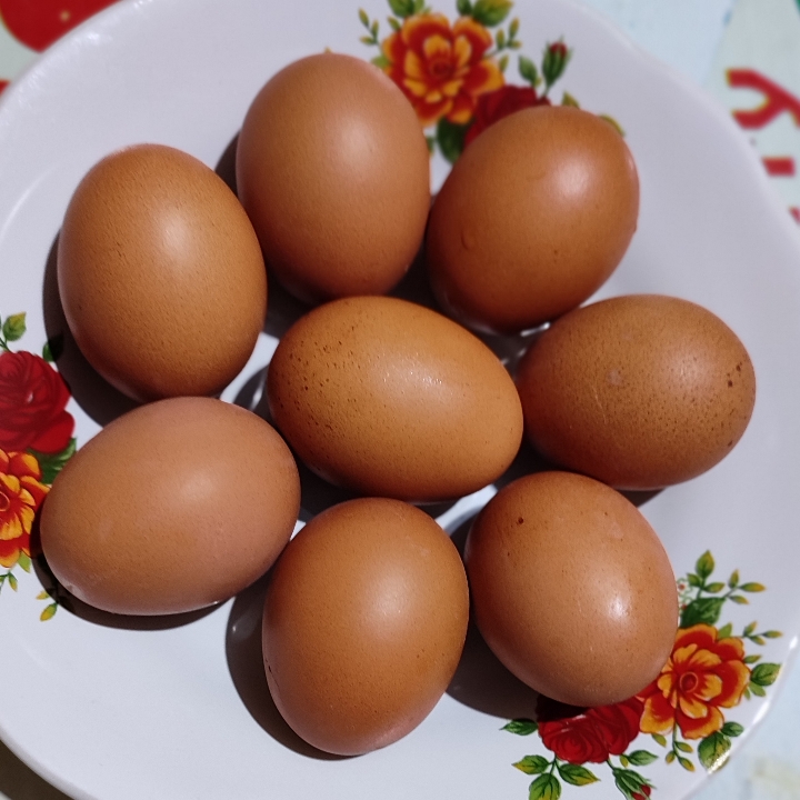 Telur Rebus