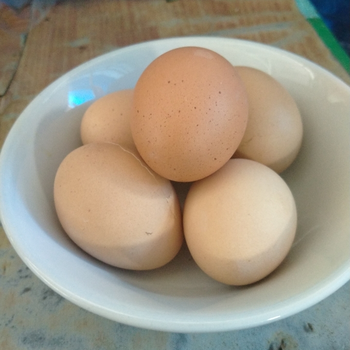 Telur Rebus