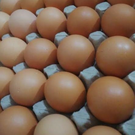 Telur Sedang