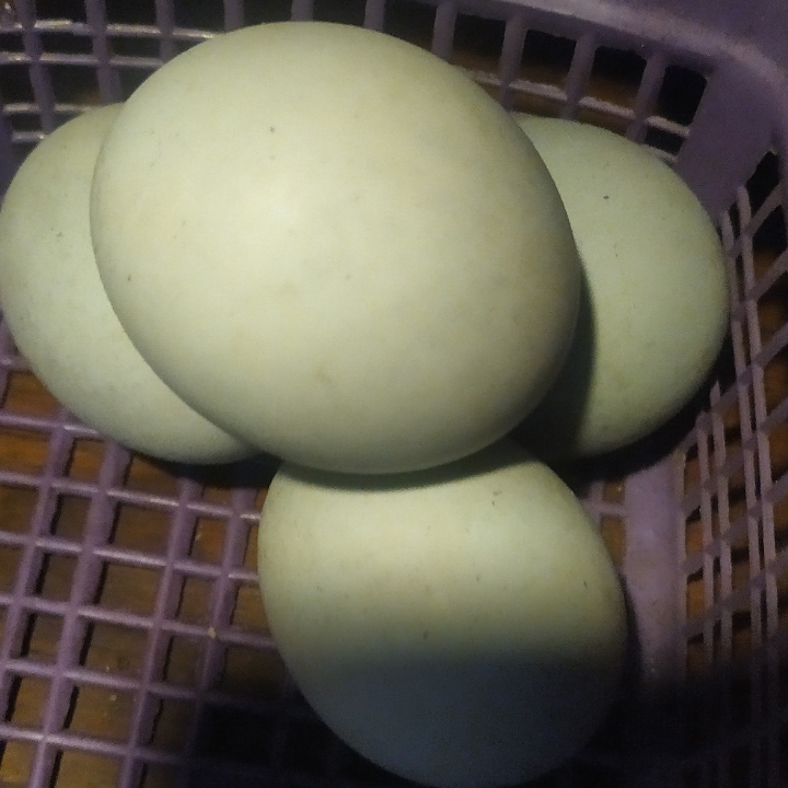 Telur asin 