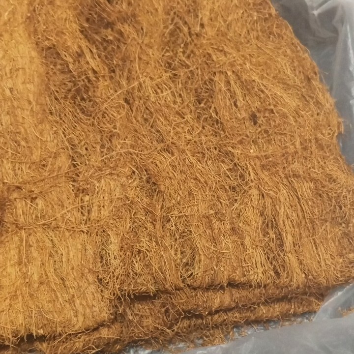 Tembakau Mole Original Tanjung Sari 50gram  2