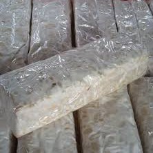 Tempe Besar