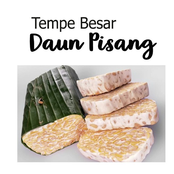 Tempe Daun Besar