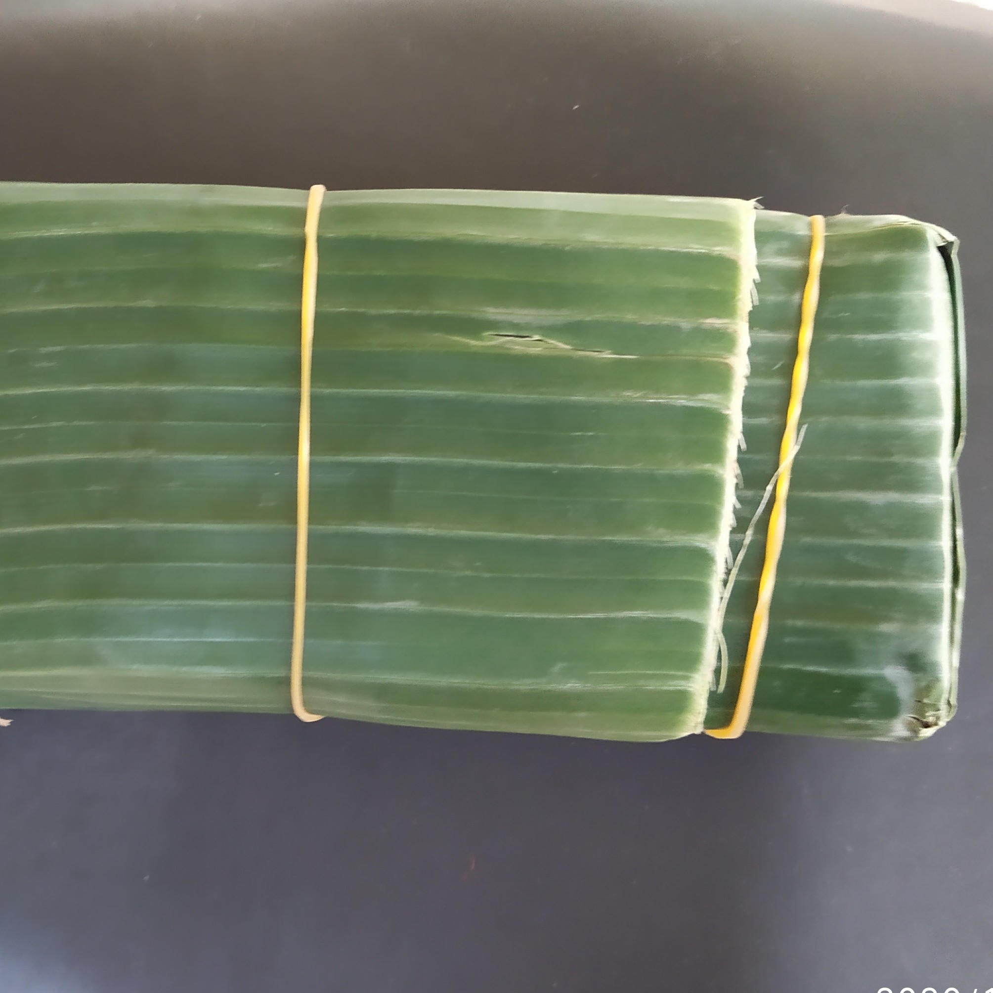 Tempe Daun Segar 2