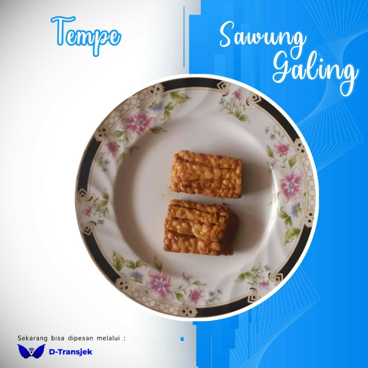 Tempe Goreng