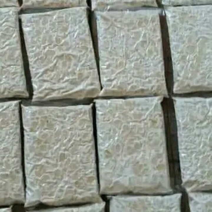 Tempe Kedelai