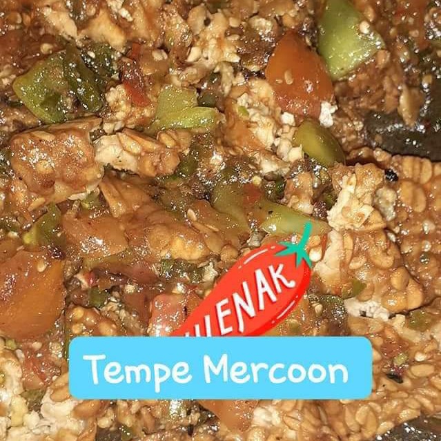 Tempe MERCON