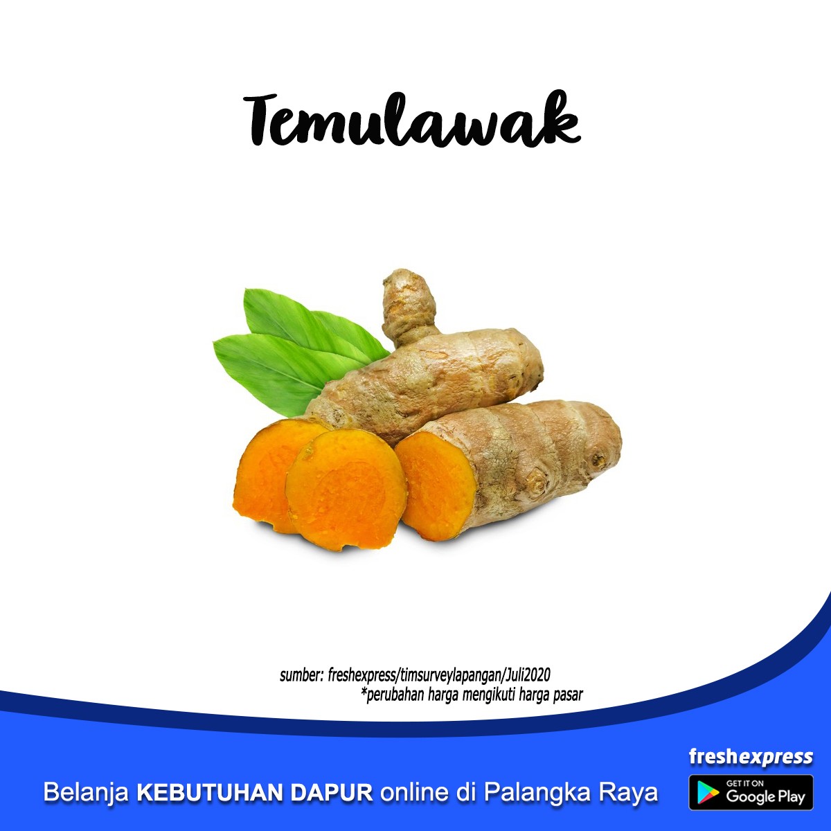 Temulawak 1 Kg