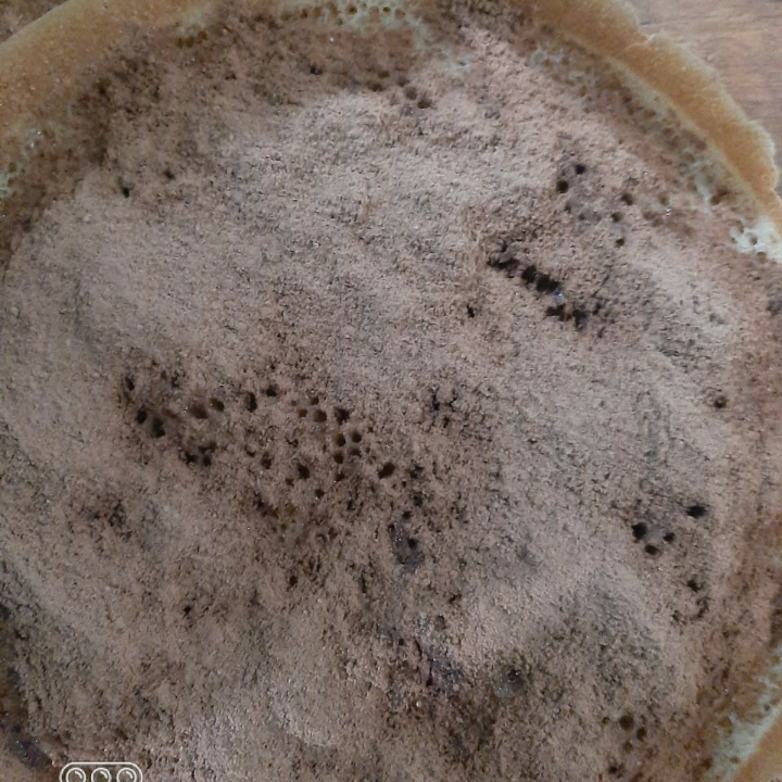 Terang Bulan Milo