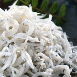 Teri Medan