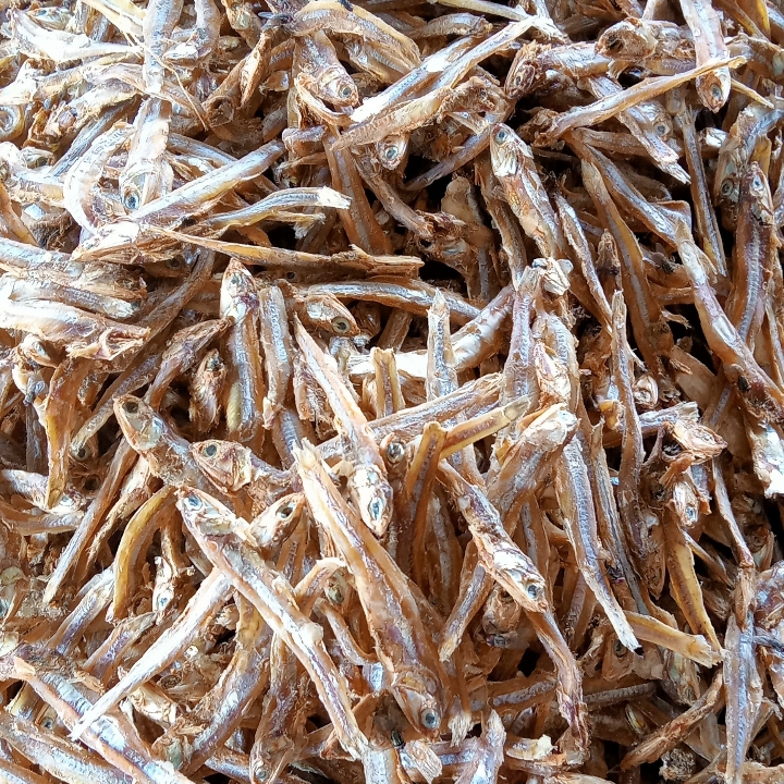Teri Tawar