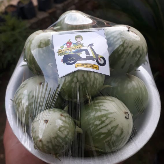 Terong Hijau