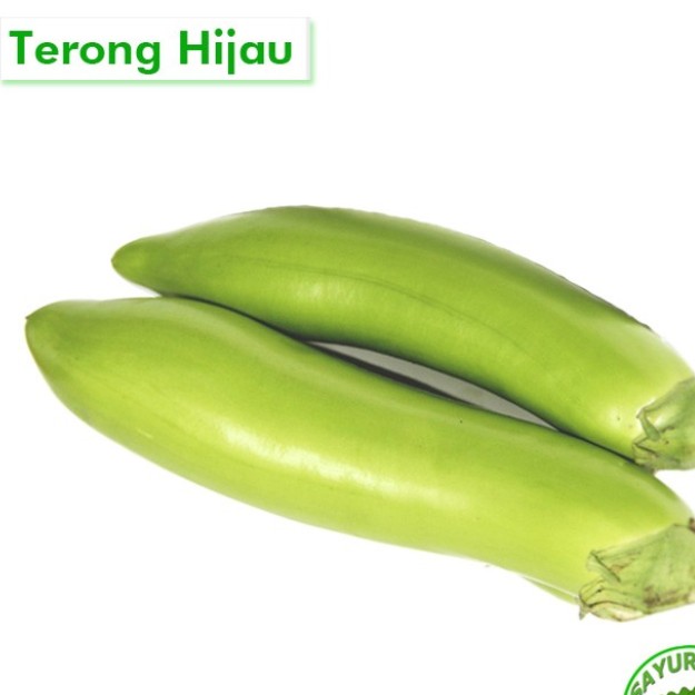 Terong Hijau Penuh Cinta