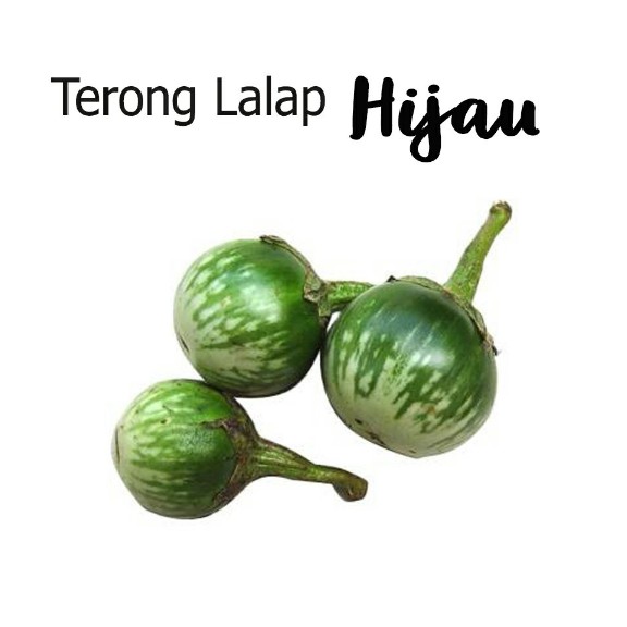 Terong Lalap Hijau 1 Kg