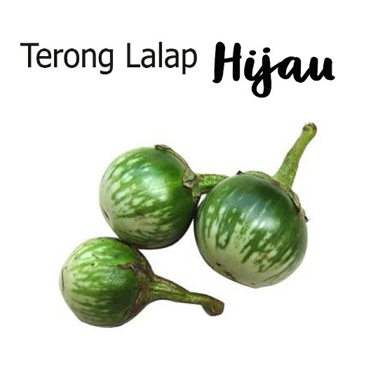 Terong Lalap Hijau Seperampat Kg