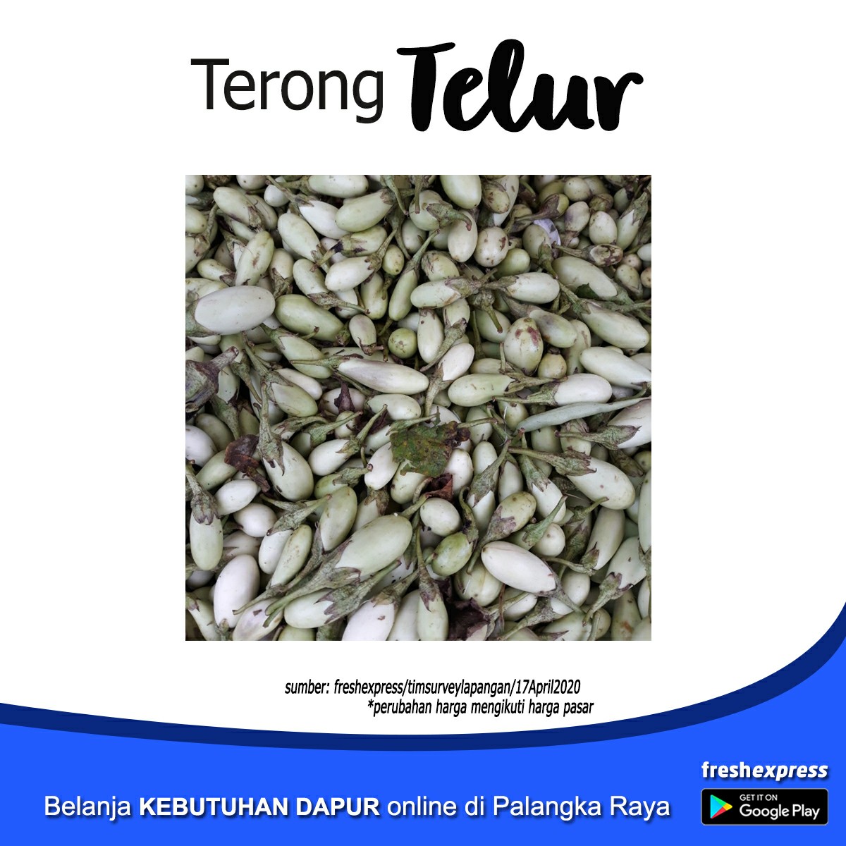 Terong Telur  1 Kg