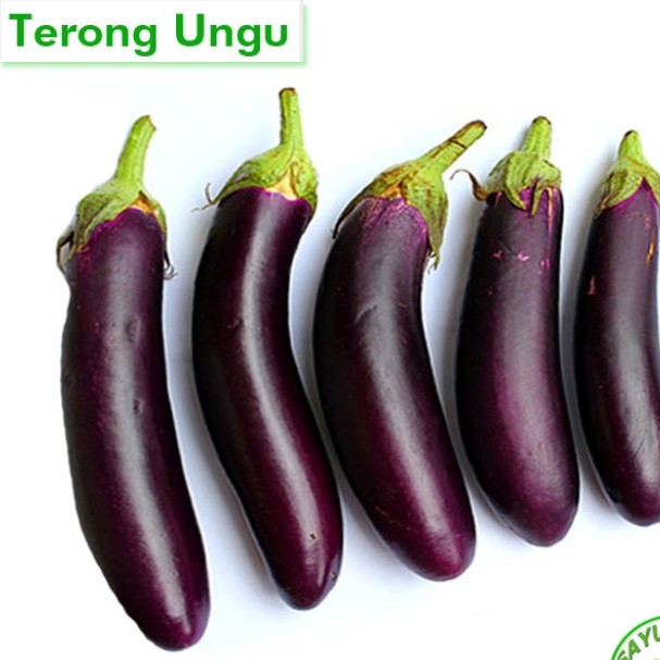 Terong Ungu Anti Selingkuh