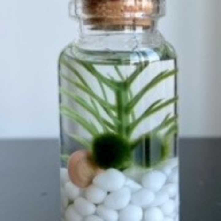 Test Product Name