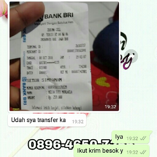 Testi