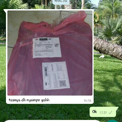 Testi