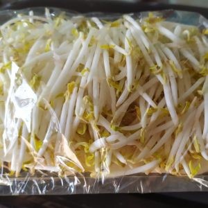 Toge Tanpa Akar