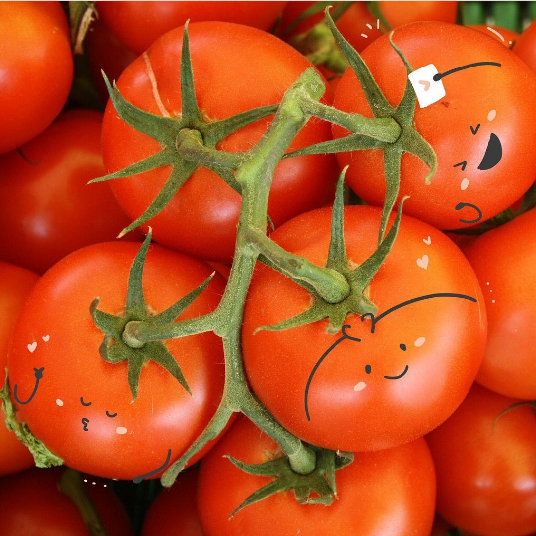 Tomat  1 kg