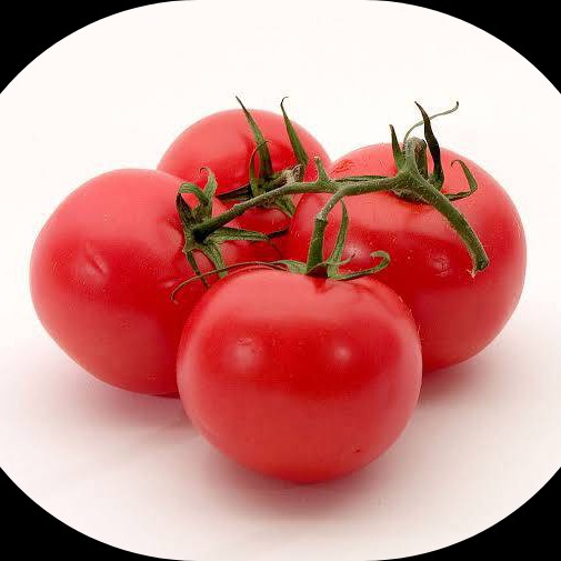 Tomat