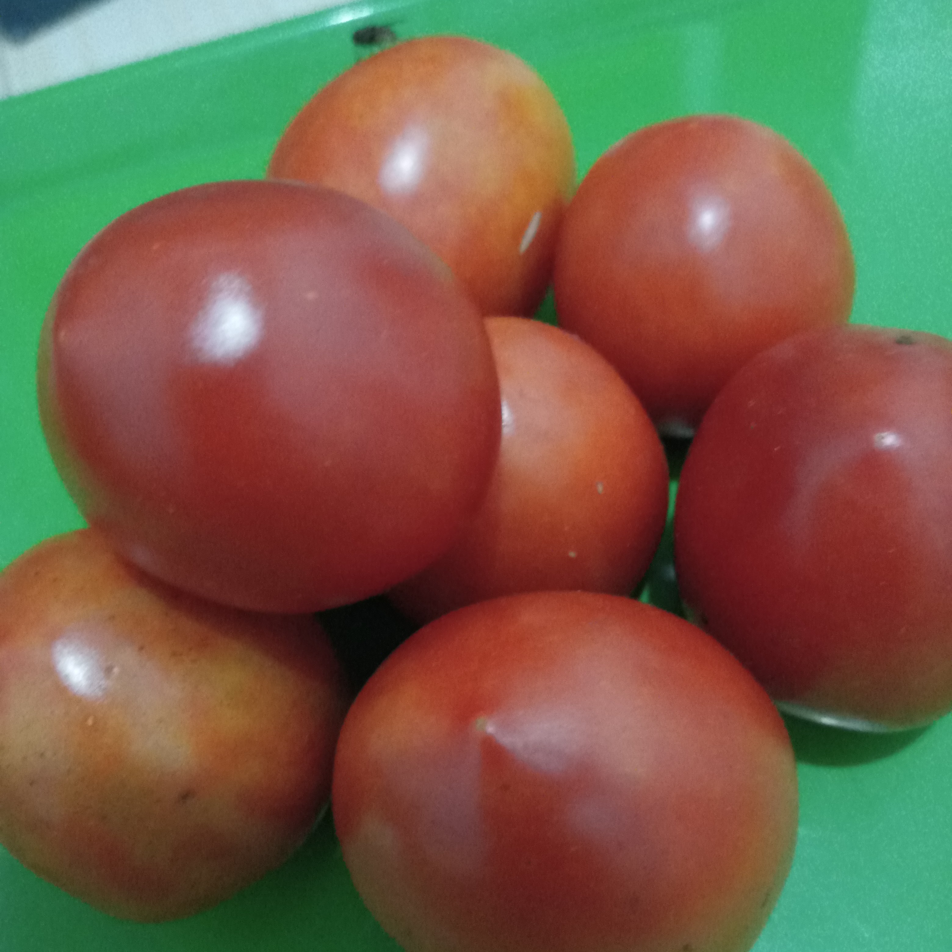 Tomat 250 Gram