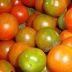 Tomat 1kg