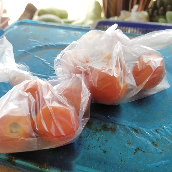 Tomat Bungkus