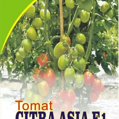 Tomat Citra Asia 5 Gr