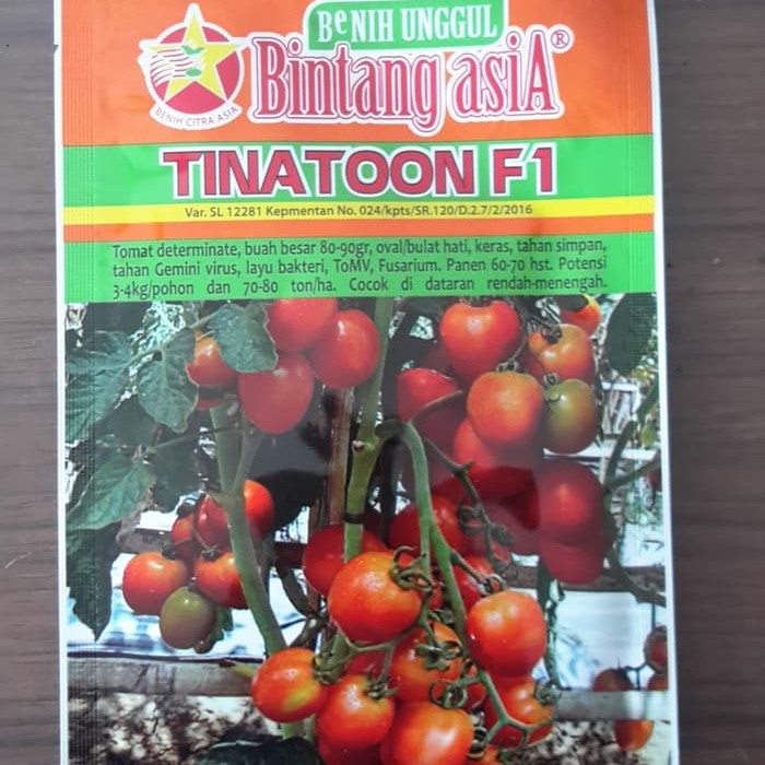 Tomat Tinatoon F1 5 Gr