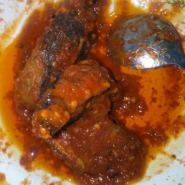 Tongkol Belado