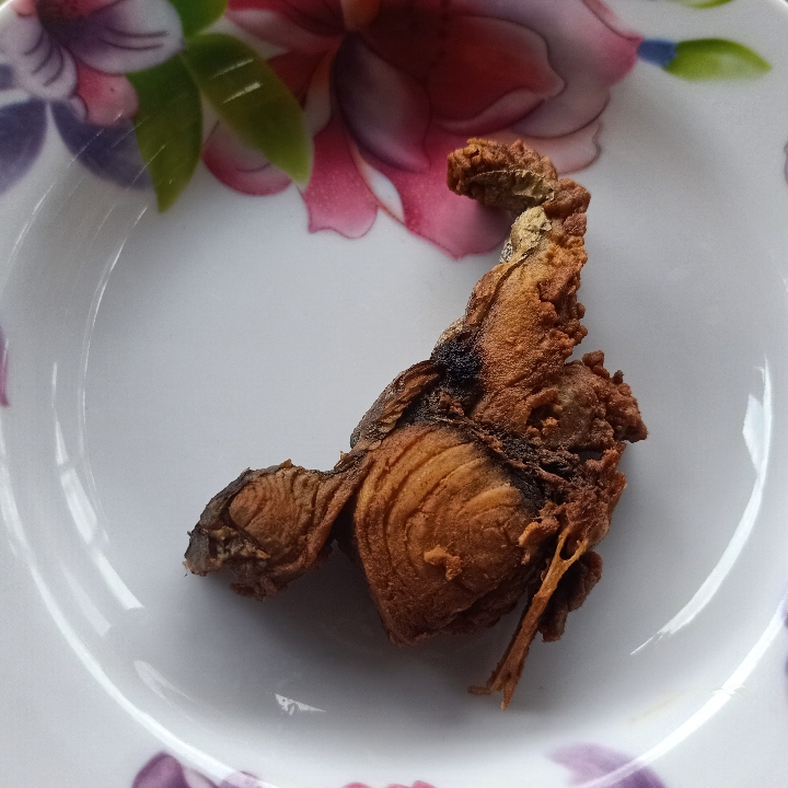 Tongkol Goreng