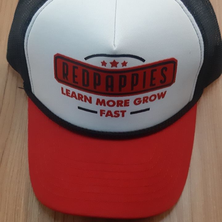 Topi