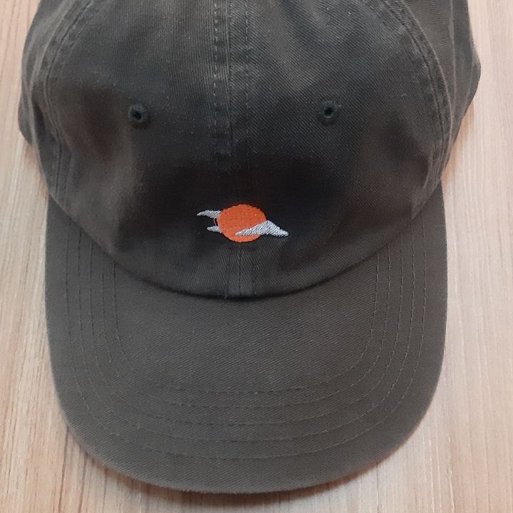 Topi