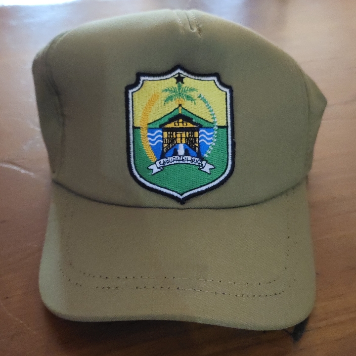 Topi