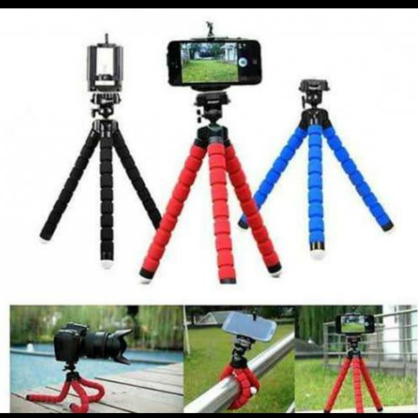 Tripod Spider