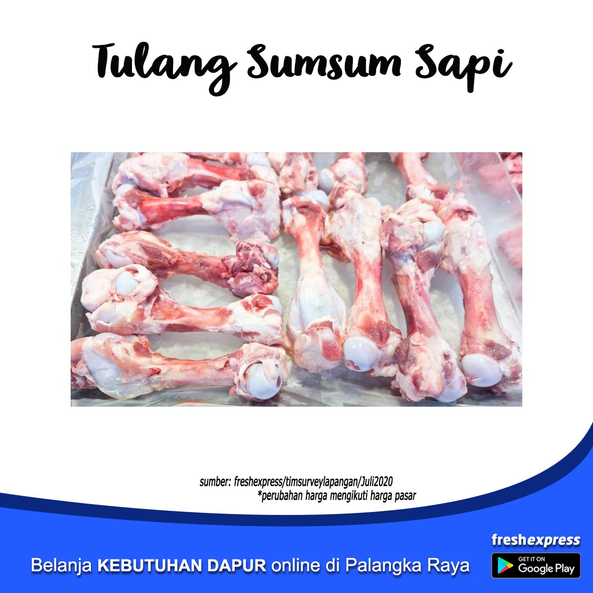 Tulang Sumsum Sapi 1 Pcs