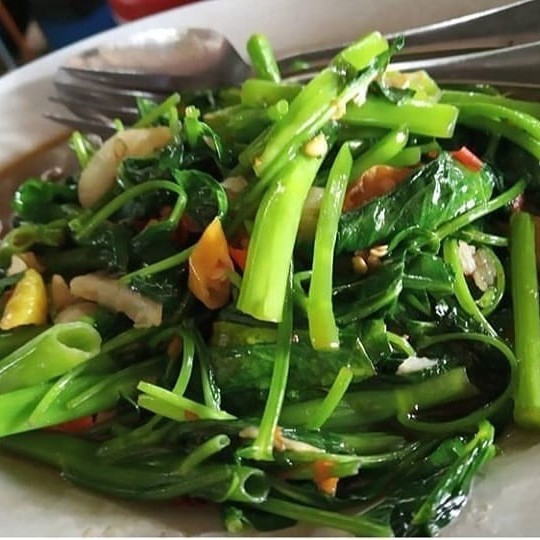 Tumis Kangkung