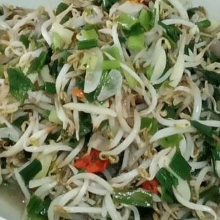 Tumis Kecambah